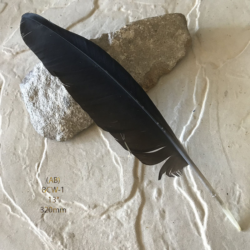 (image for) BCW-1 Black Cockatoo Wing Feather