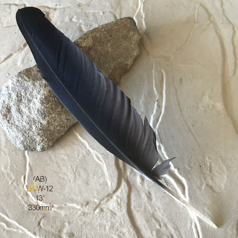 (image for) BCW-12 Black Cockatoo Wing Feather