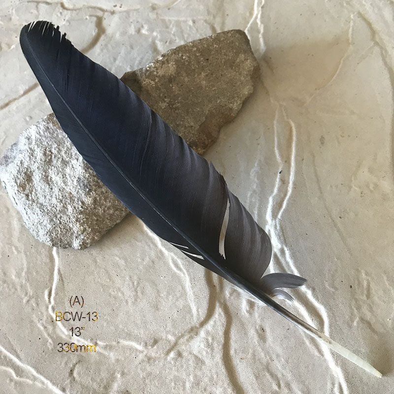 (image for) BCW-13 Black Cockatoo Wing Feather