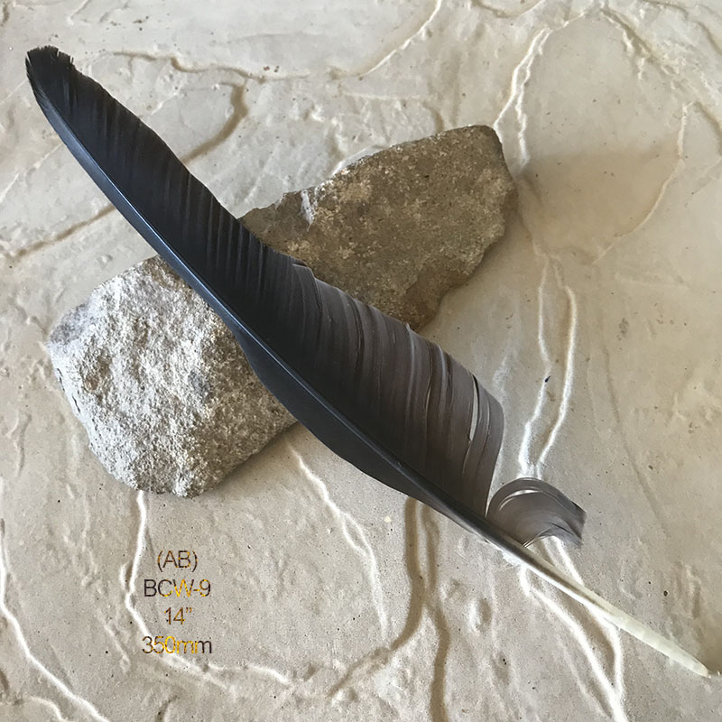 (image for) BCW-9 Black Cockatoo Wing Feather