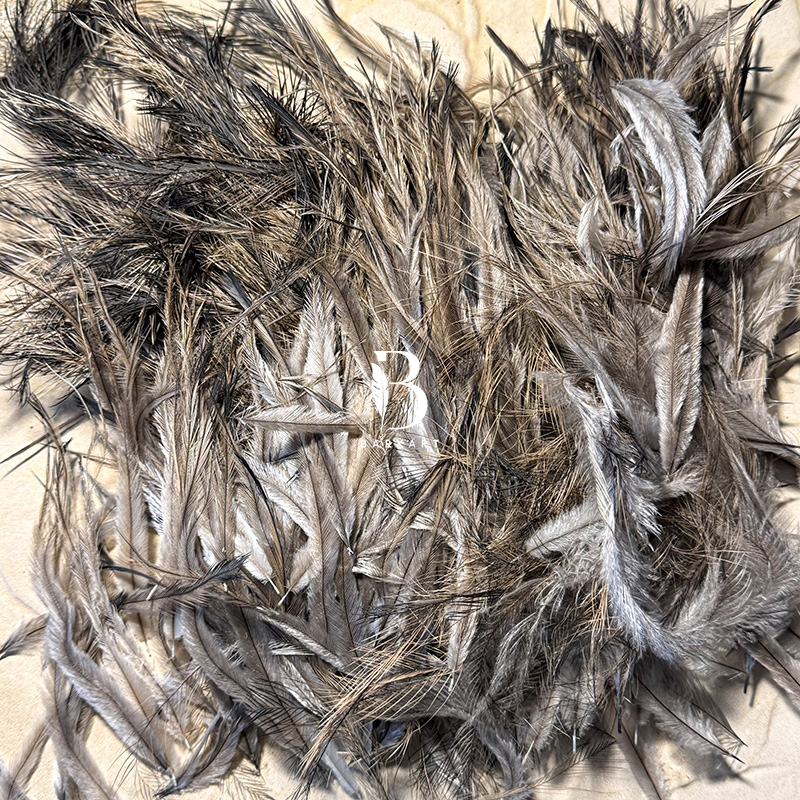 (image for) 500 Emu Body & Tail Feathers - MIXED