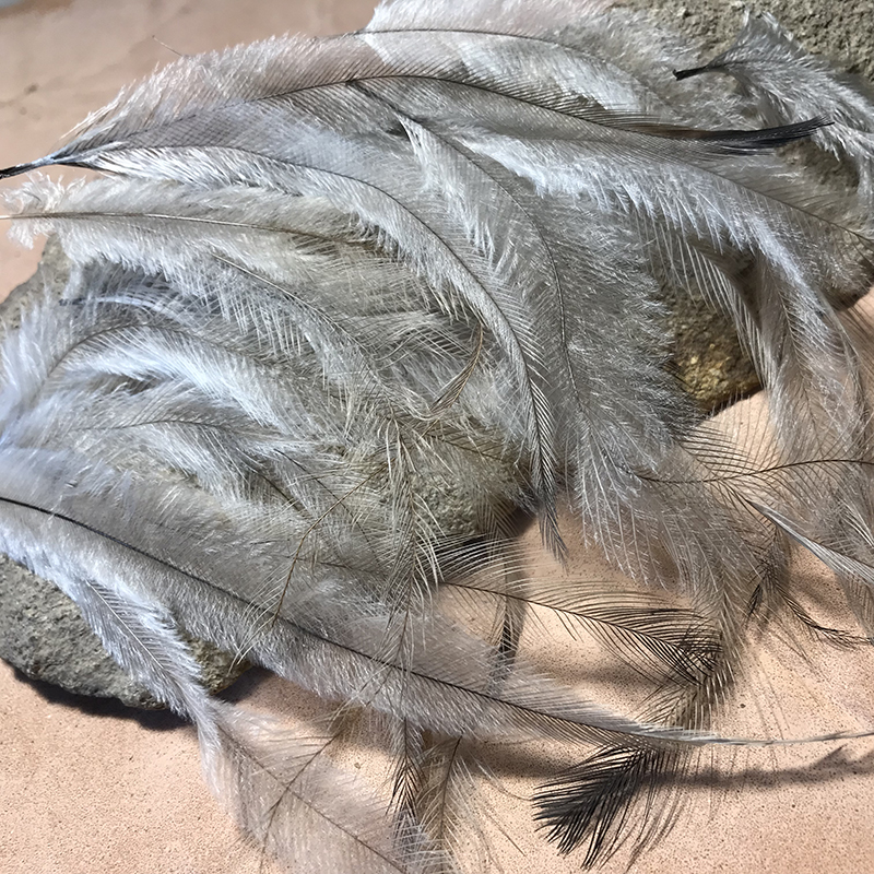 (image for) 300 Premium Emu Feathers 3" to 6"