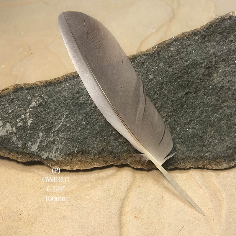 (image for) GWP-001 Galah Primary Wing Feather
