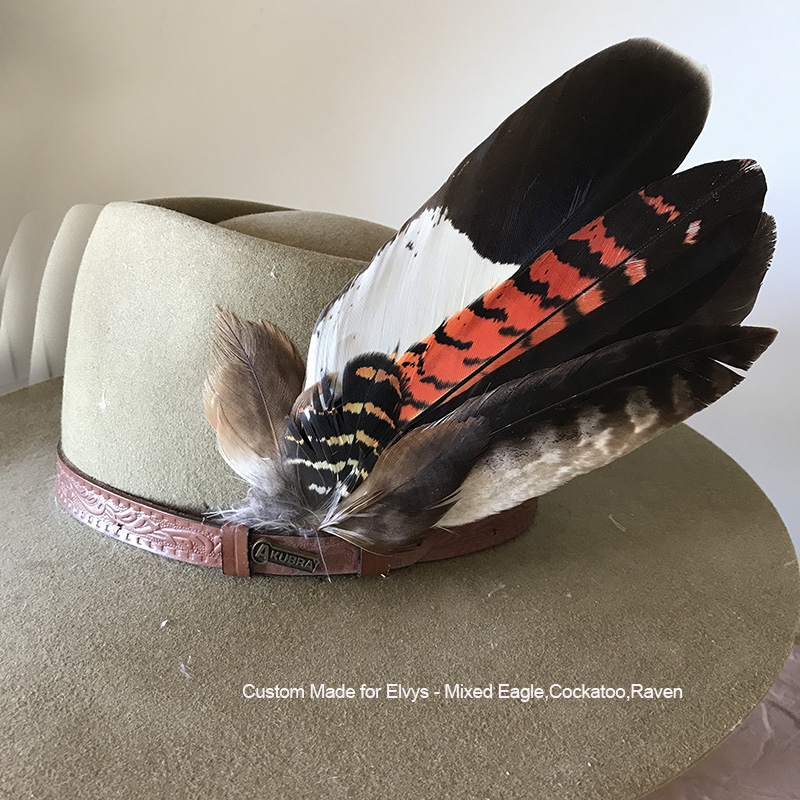 (image for) Akubra Australian Native Feathers No.2
