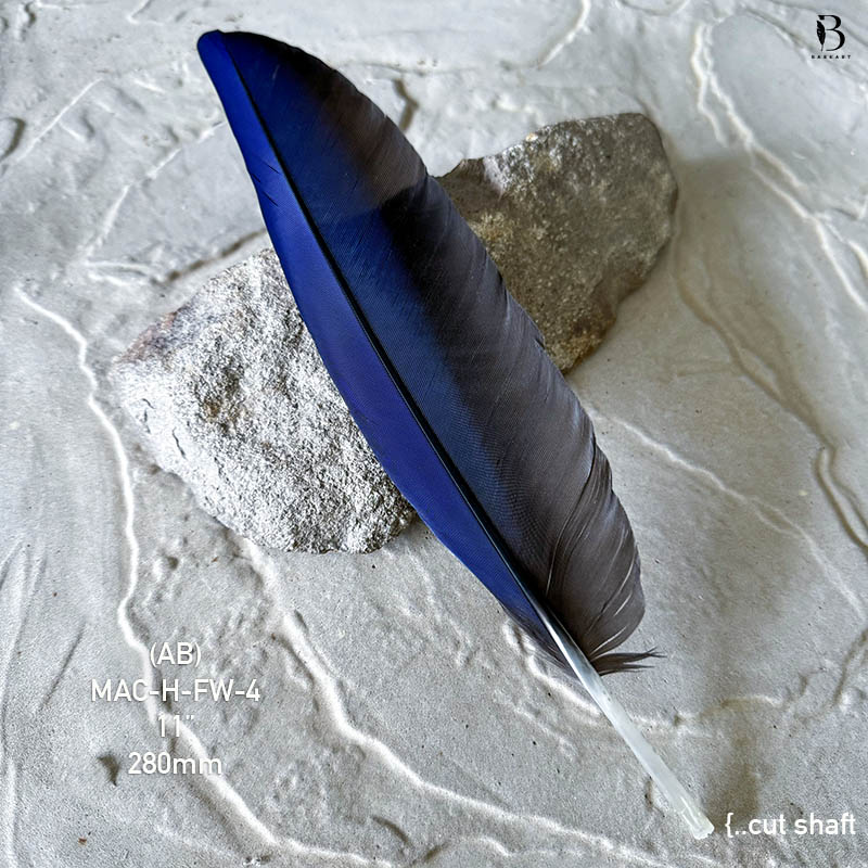 (image for) MAC-H-FW-4 Hyacinth Macaw Flight Wing Feather