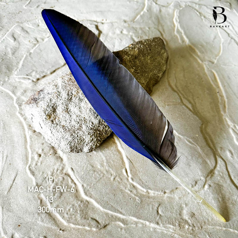 (image for) MAC-H-FW-6 Hyacinth Macaw Flight Wing Feather