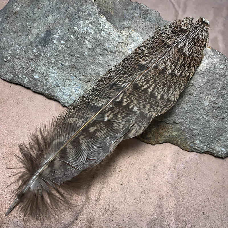 (image for) 165mm Marbled Frogmouth Shoulder Feather - MFS-208
