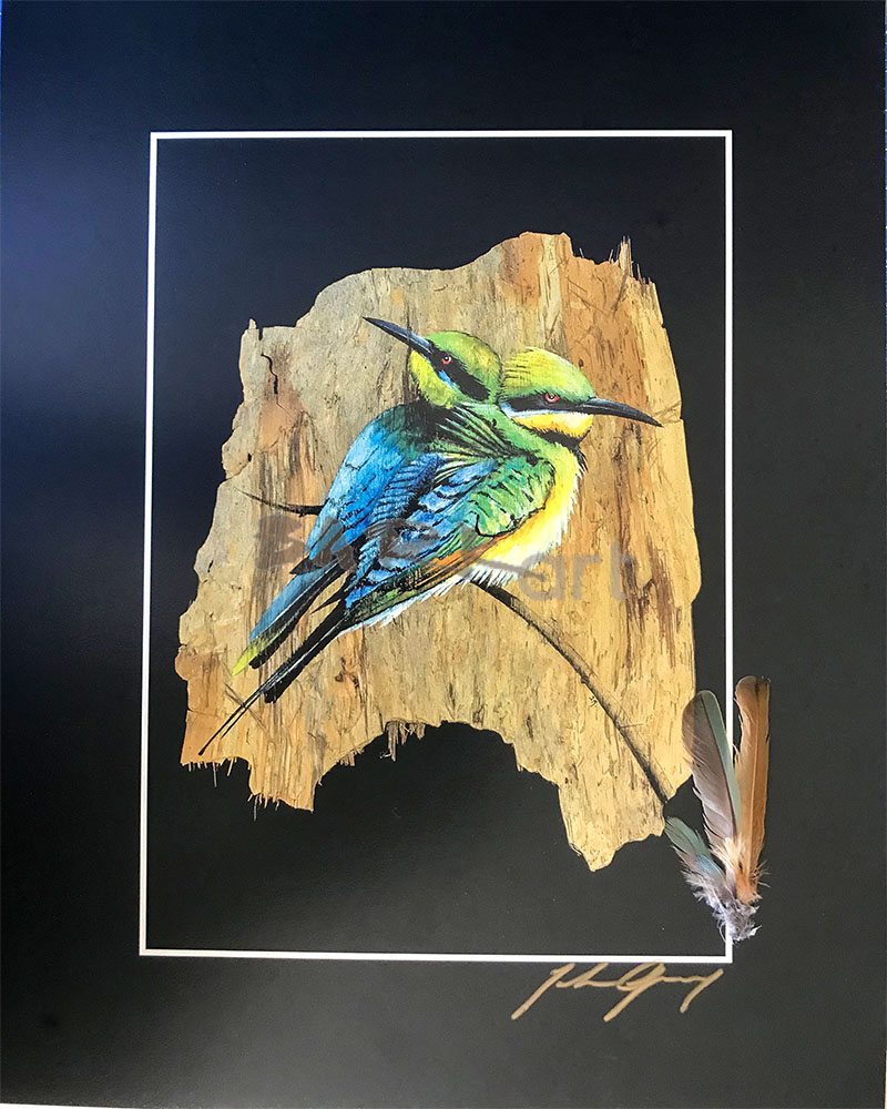 (image for) Rainbow Bee Eater Print & Native Feather & Signed - Click Image to Close