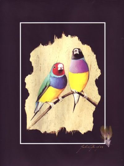 (image for) Gouldian Finches Print, Feather & Signed - Click Image to Close