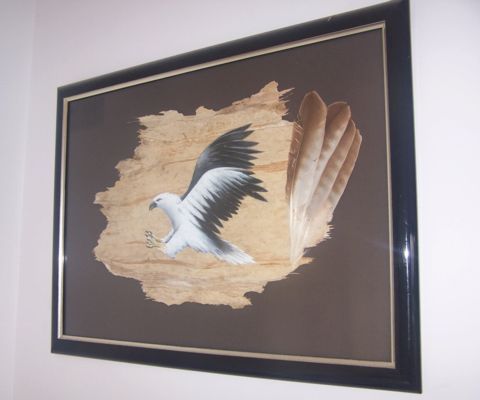 (image for) Original White Bellied Sea Eagle SOLD - Click Image to Close