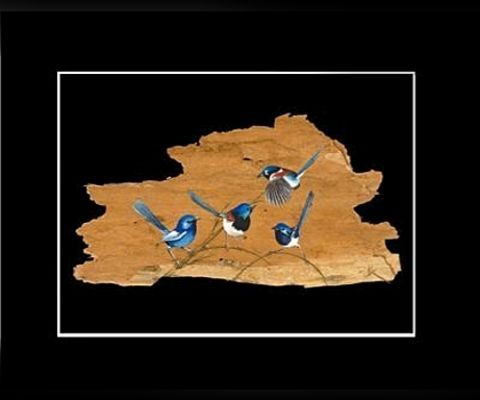 (image for) Fairy Wren - Click Image to Close