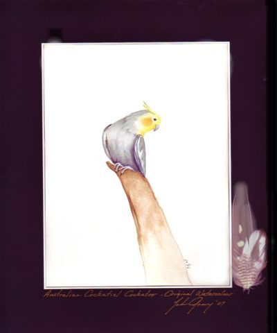 (image for) Australian Cockatiel OriginalSOLD - Click Image to Close
