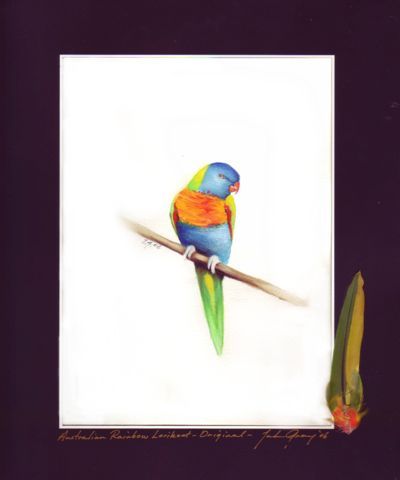 (image for) Australian Rainbow Lorikeet Origina SOLD - Click Image to Close