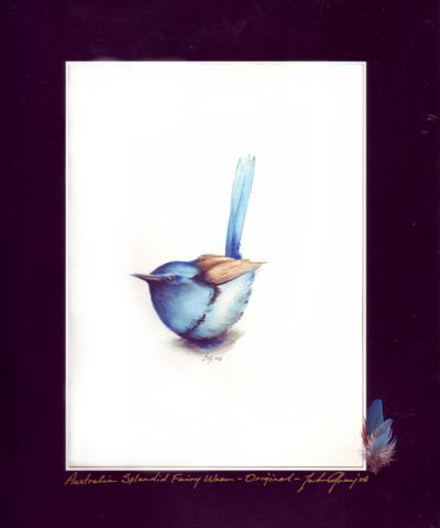 (image for) Australian Splendid Fairy Wren SOLD - Click Image to Close