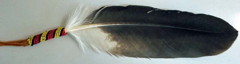 Australian Bird Feathers