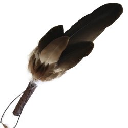 Wedged Tailed Eagle Feather Large Natural Smudge Fan