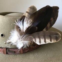 Eagle & Goshawk Hat Pin / Lapel