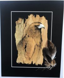 Wedge Tailed Eagle Profile Print,Feather & Signed