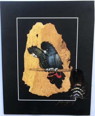 Red Tailed Black Cockatoo Print,Feather & Signed
