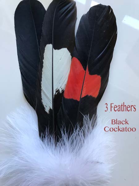 (image for) Black Cockatoo Tail Feather Smudge Fan w/Crystals - Click Image to Close