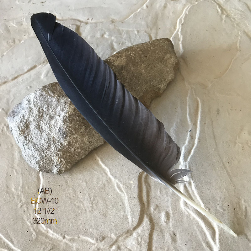 (image for) BCW-10 Black Cockatoo Wing Feather