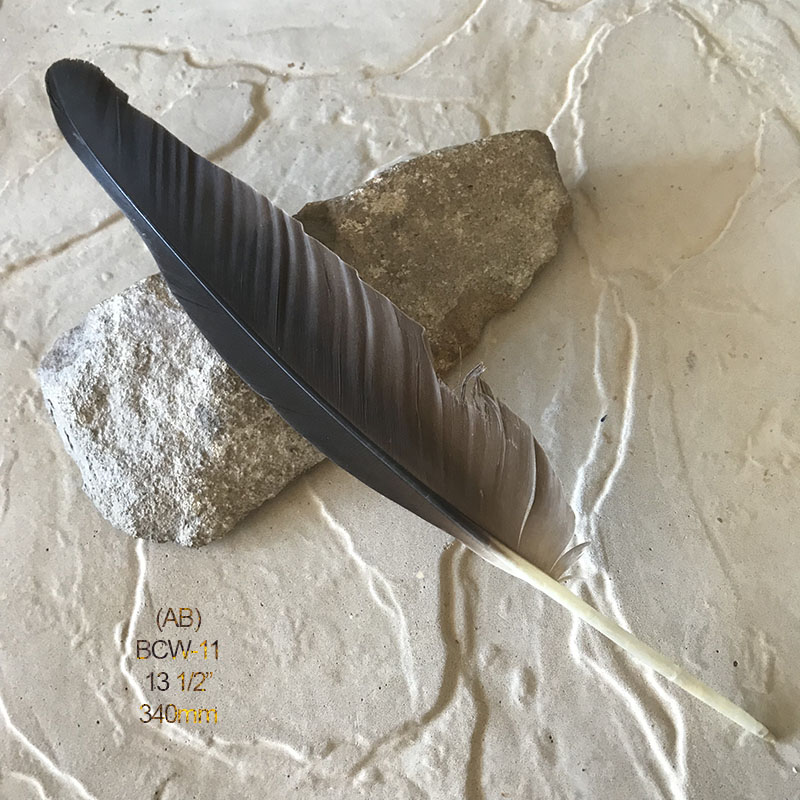 (image for) BCW-11 Black Cockatoo Wing Feather