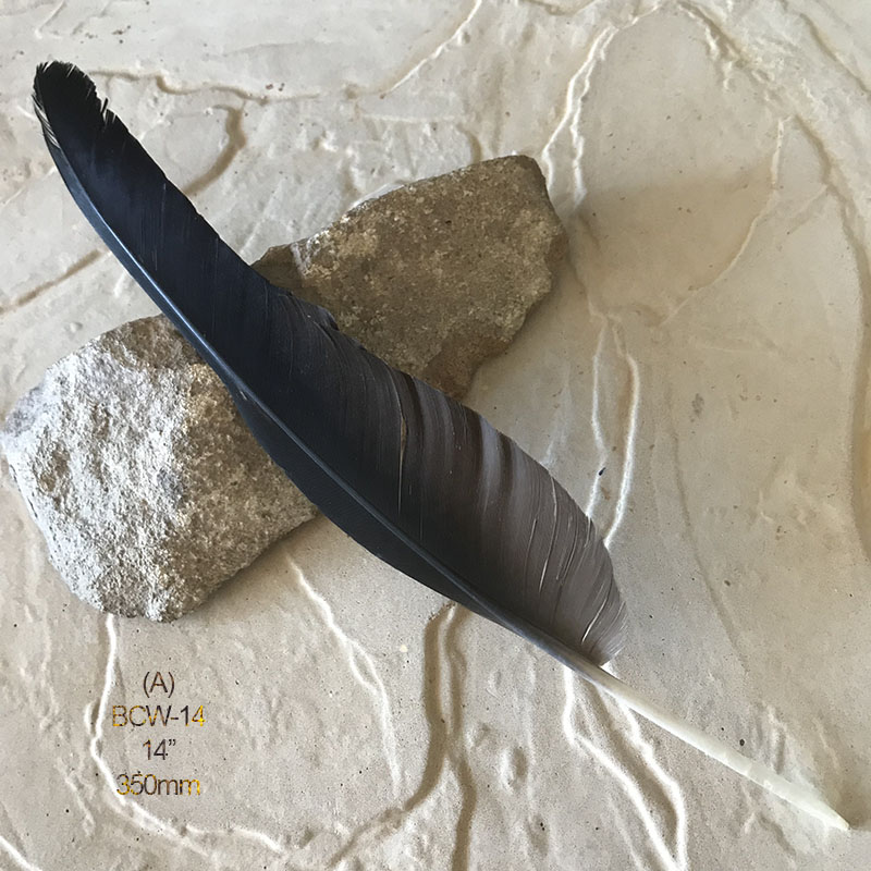 (image for) BCW-14 Black Cockatoo Wing Feather