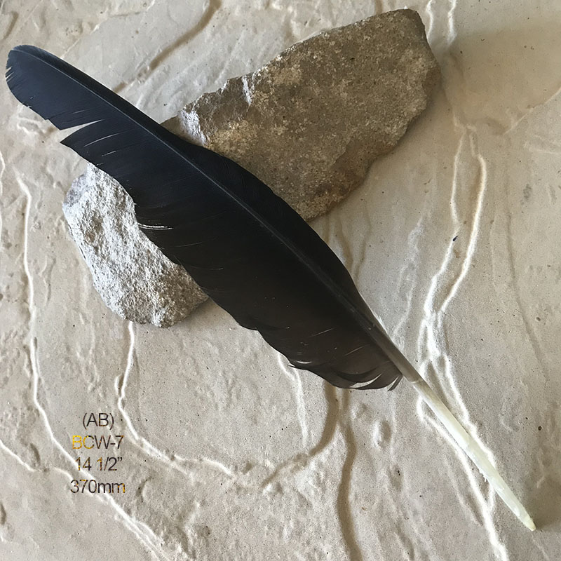 (image for) BCW-7 Black Cockatoo Wing Feather
