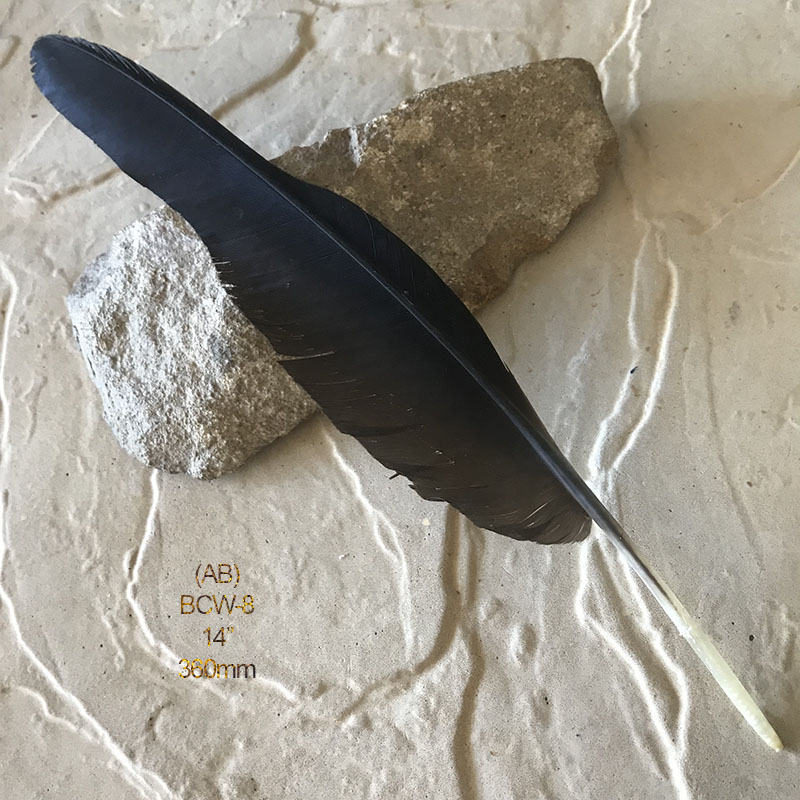 (image for) BCW-8 Black Cockatoo Wing Feather