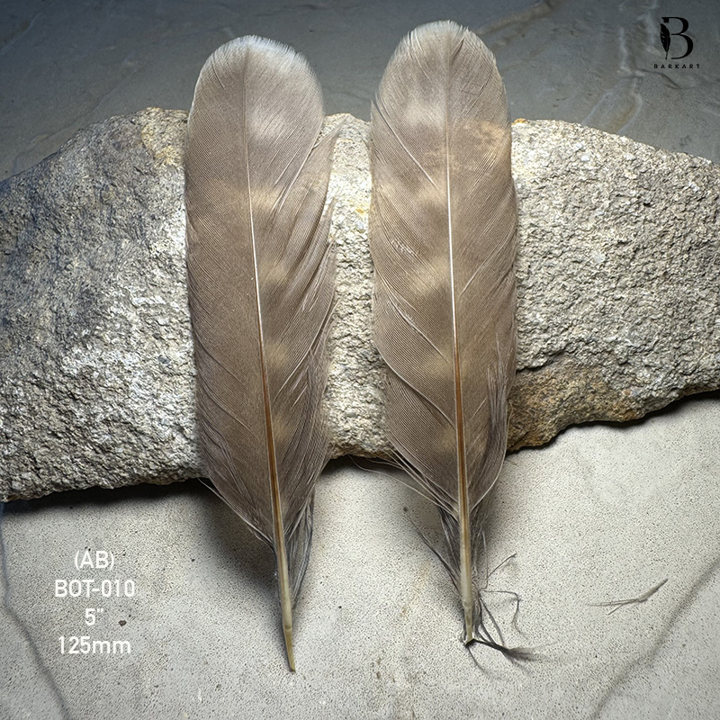 (image for) BOT-010 Boobook Centre Tail Feathers - Pair