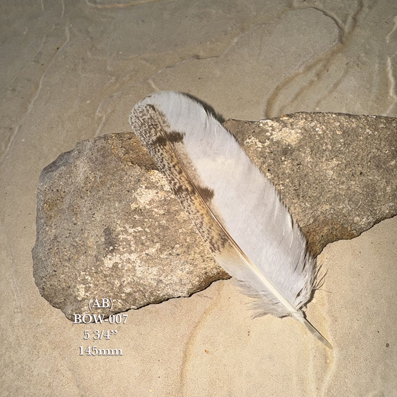 (image for) BOW-006 Barn Owl Primary Wing Feather