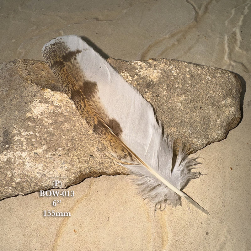 (image for) BOW-013 Barn Owl Primary Wing Feather