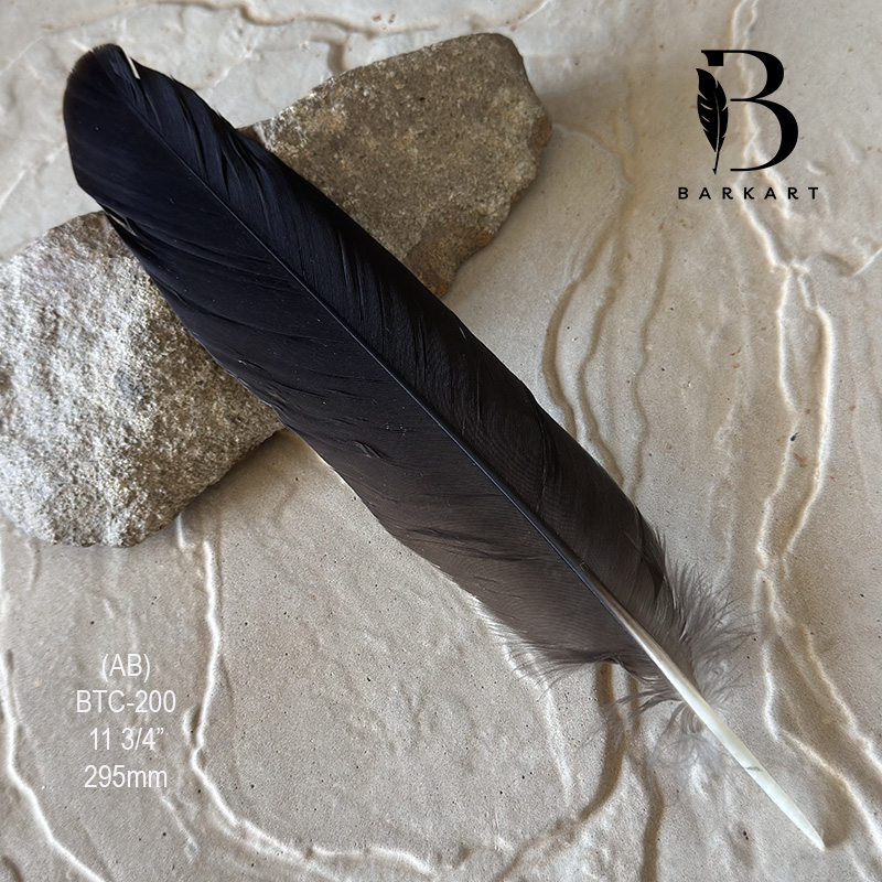 (image for) BTC-200 Black Cockatoo Centre Center Tail Feather