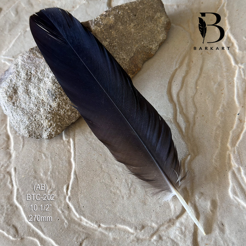 (image for) BTC-202 Black Cockatoo Centre Center Tail Feather