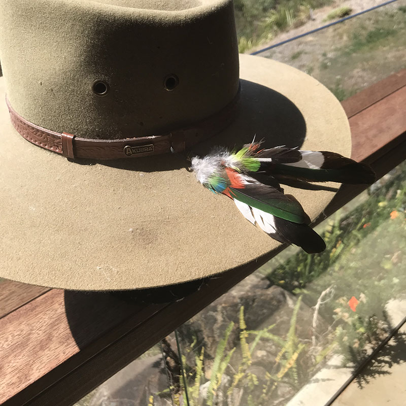 (image for) Hat Strap, SPECIAL ORDER - BEC Feather Mount, Magpie, AKing Parrot