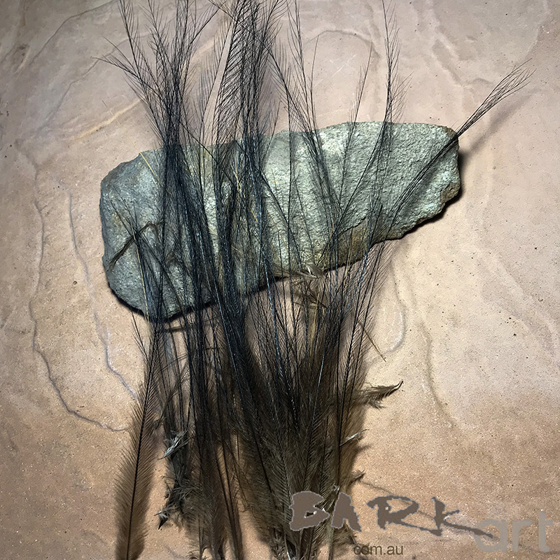 (image for) Cassowary Feathers 4 to 12" (15) Mixed