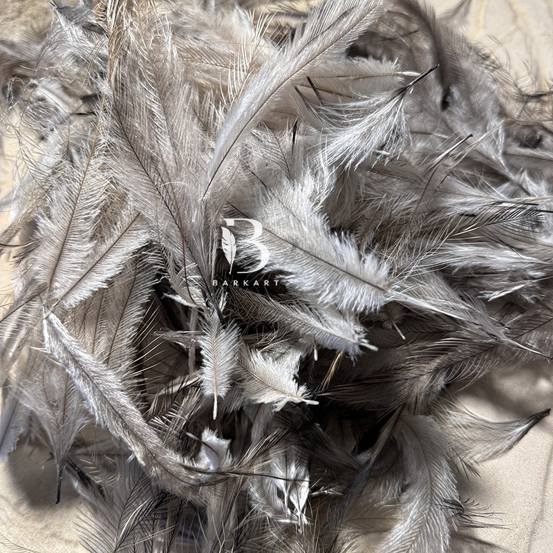 (image for) 100 Premium Emu Feathers 3" to 6" - Click Image to Close