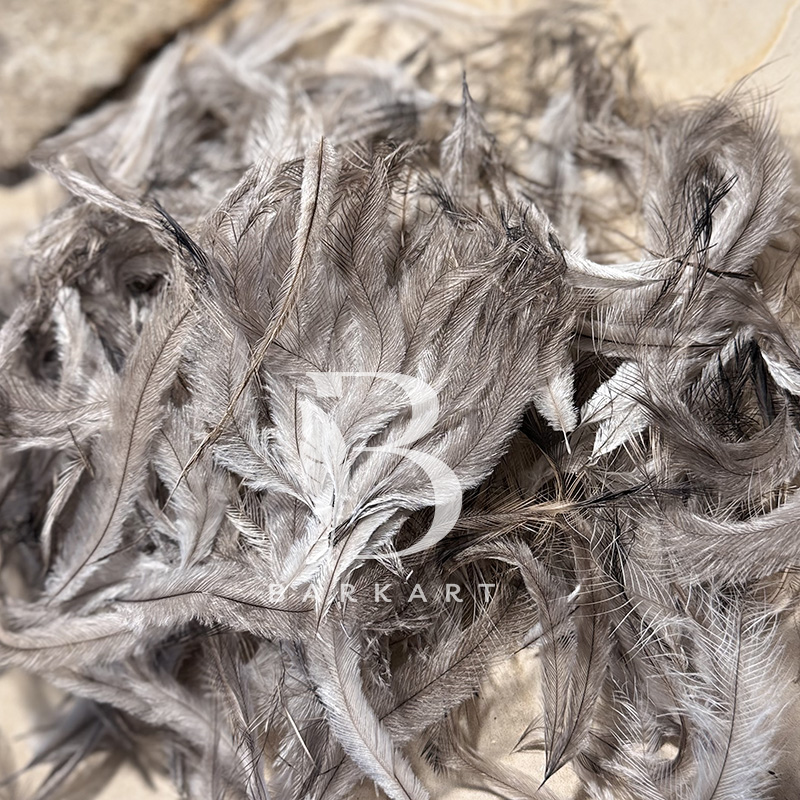 (image for) 300 Premium Emu Feathers 3" to 6" - Click Image to Close