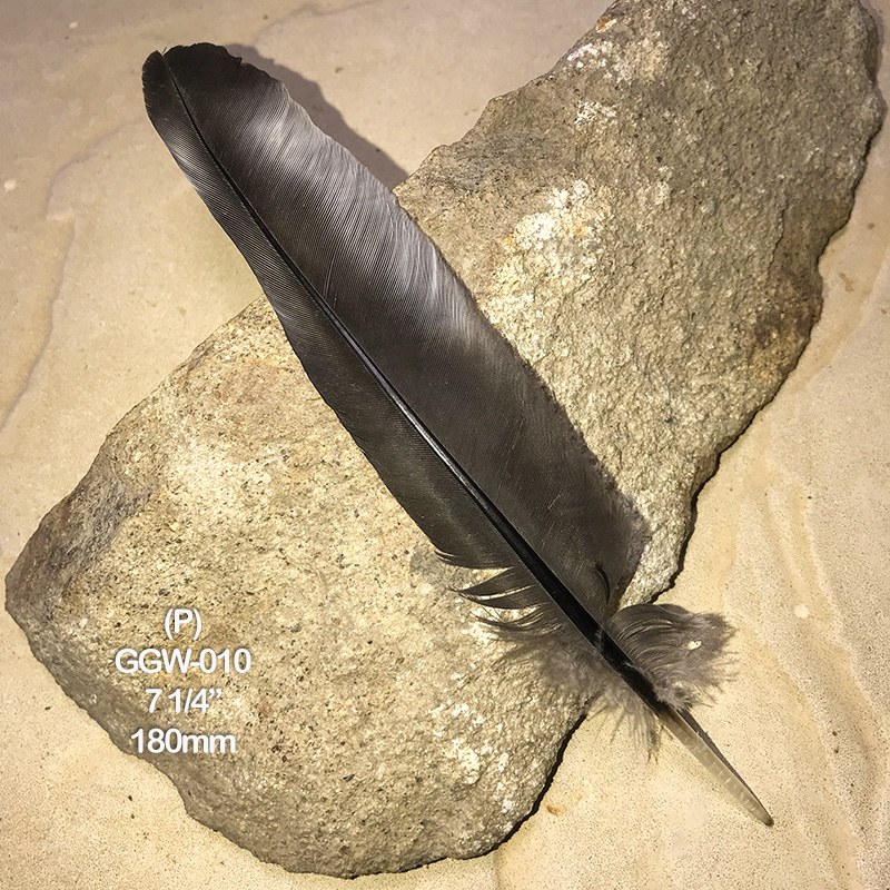 (image for) GGW-010 Gang Gang Wing Feather