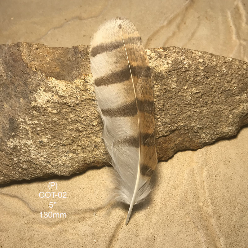 (image for) GOT-02 Grass Owl Tail Feather