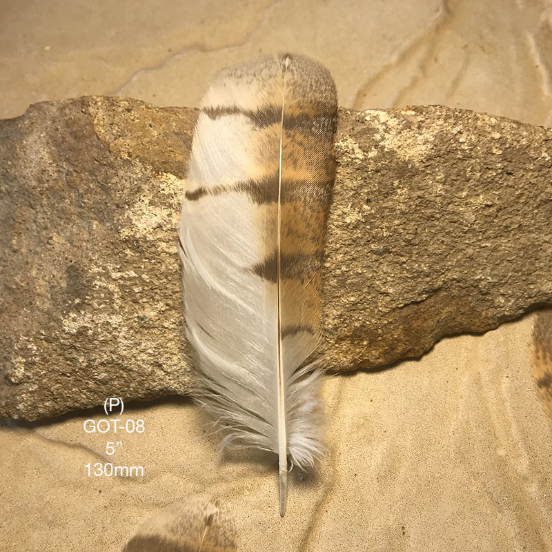 (image for) GOT-08 Grass Owl Tail Feather