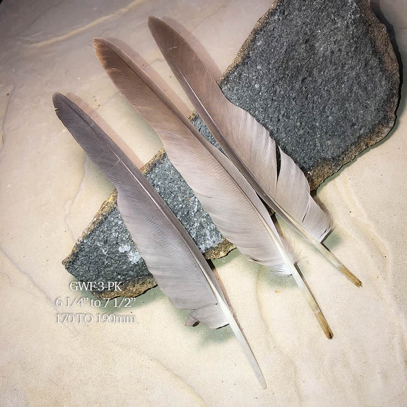 (image for) GWF-3-PK Galah Flight Wing Feather 3 PACK - Click Image to Close
