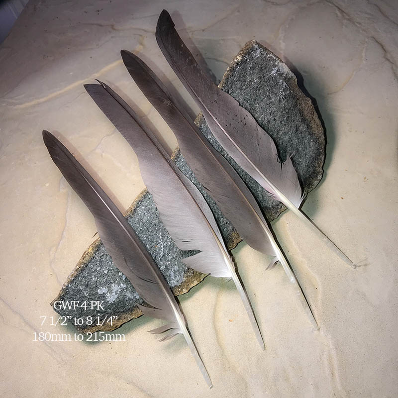 (image for) GWF-4-PK Galah Flight Wing Feather 4 PACK