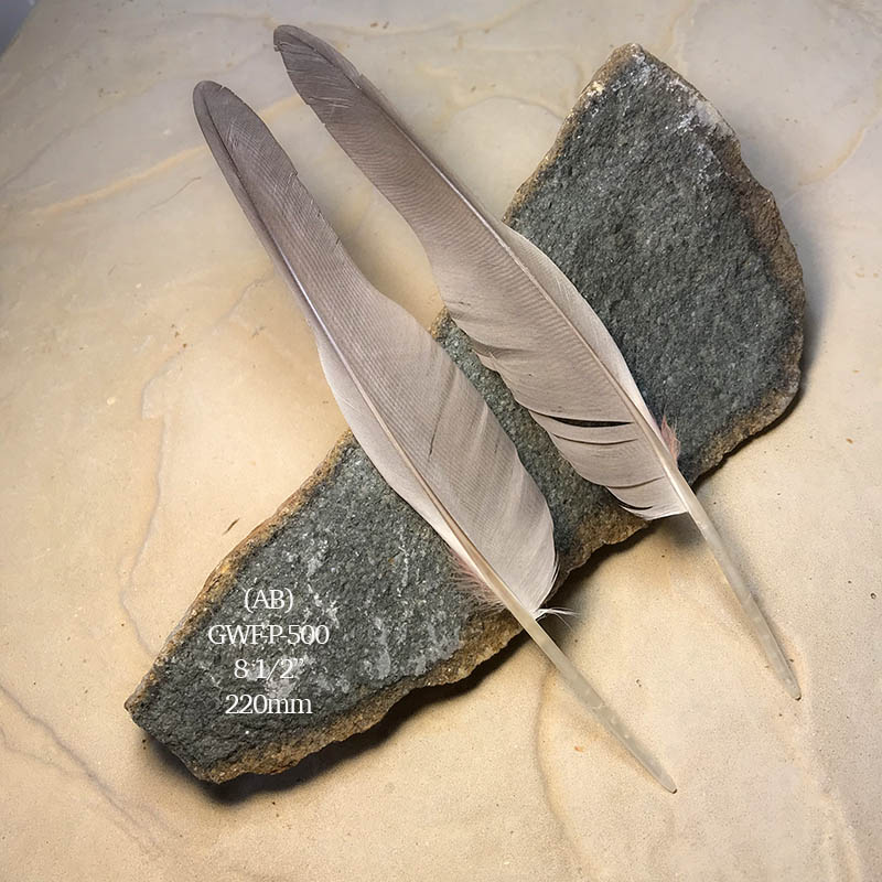(image for) GWF-P-500 Galah Flight Wing Feather PAIR