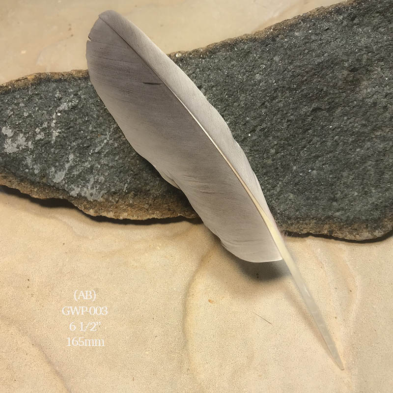 (image for) GWP-003 Galah Primary Wing Feather