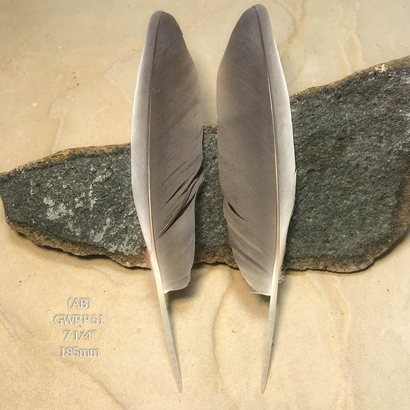 (image for) GWP-P-51 Galah Primary Wing Feather PAIR