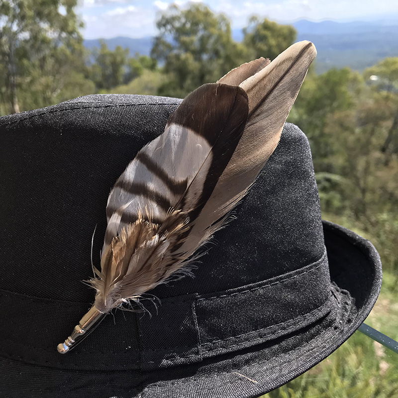 (image for) Hat Pin, Bush Stone Curlew Feathers