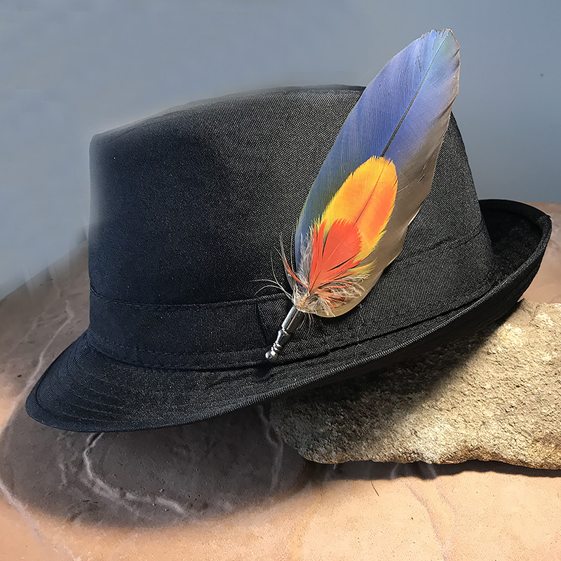 (image for) Hat Pin, Macaw Feathers