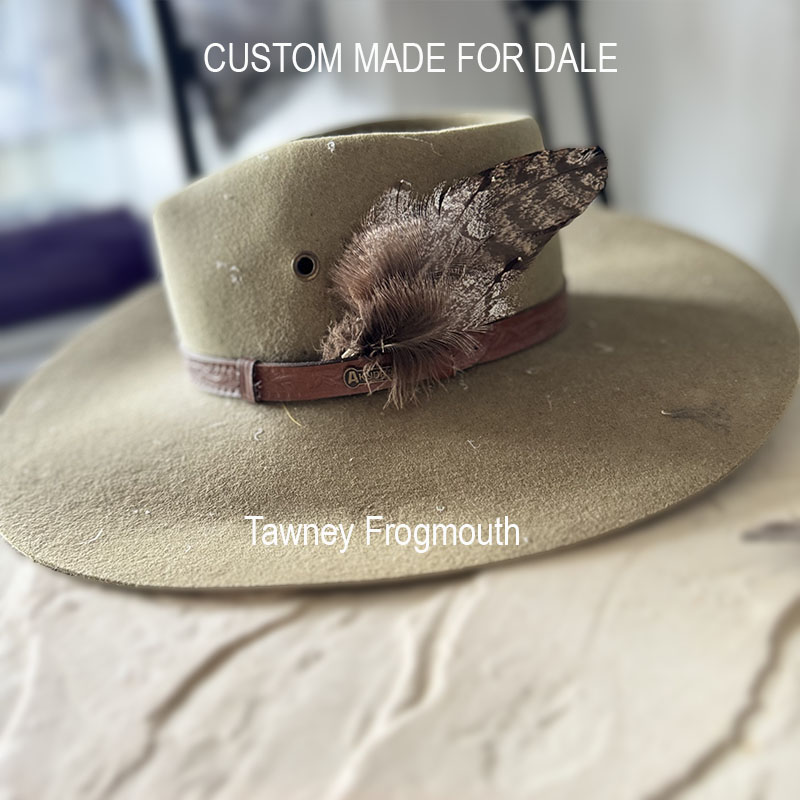 (image for) Hat Pin, Tawney Frogmouth