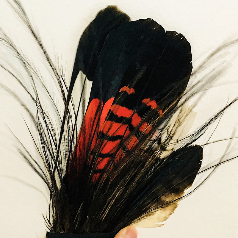 (image for) Akubra Australian Native Feathers